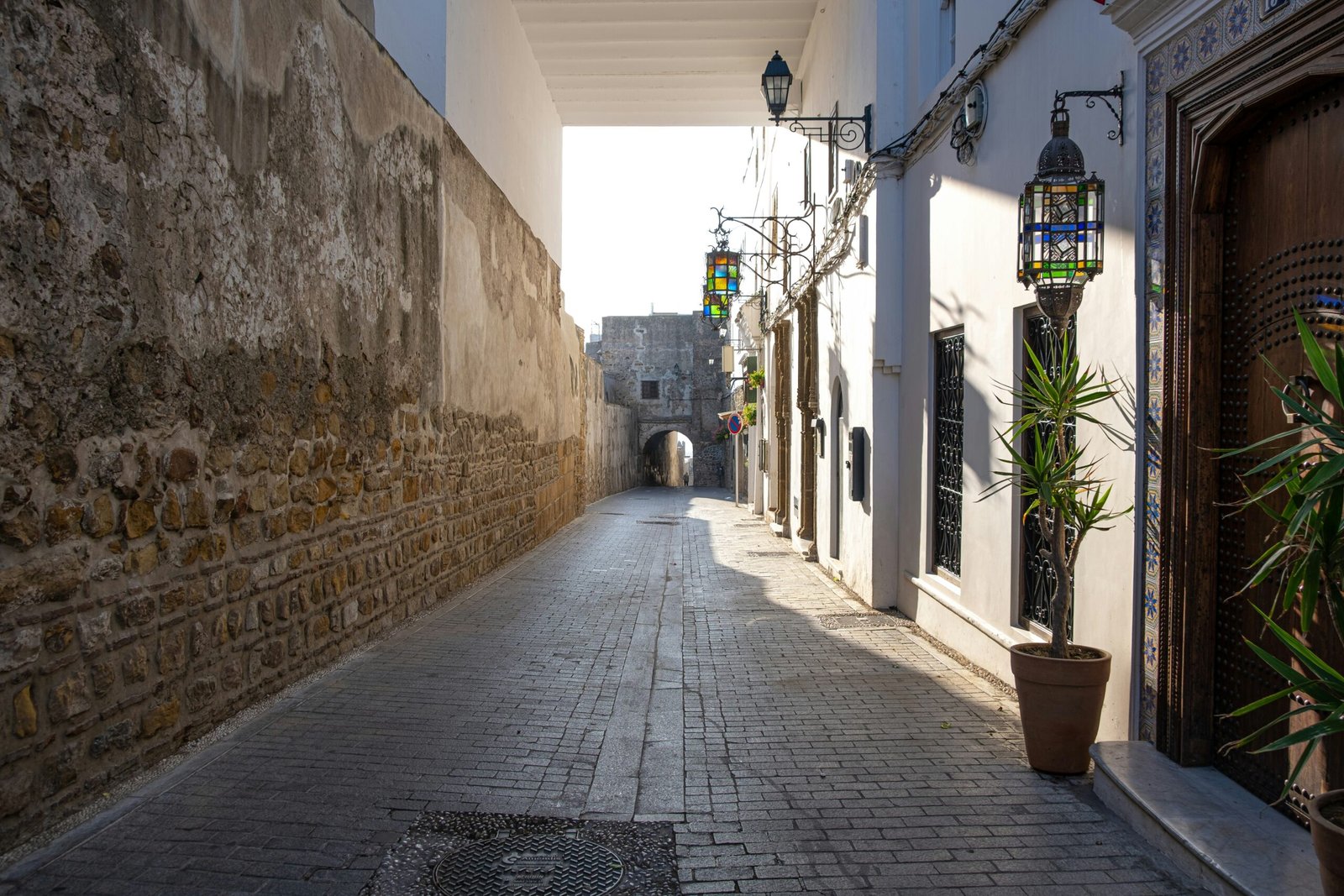 a narrow alley way with a potted plant on the side